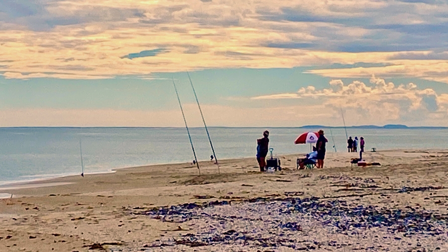 0 Bedroom Property for Sale in Laaiplek Western Cape